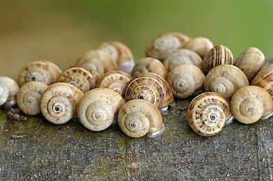 《死亡搁浅2》预购开启 游戏支持PS5 Pro增强