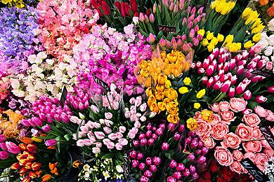 《DOTA2》现在A掉多个装备将受到严重惩罚